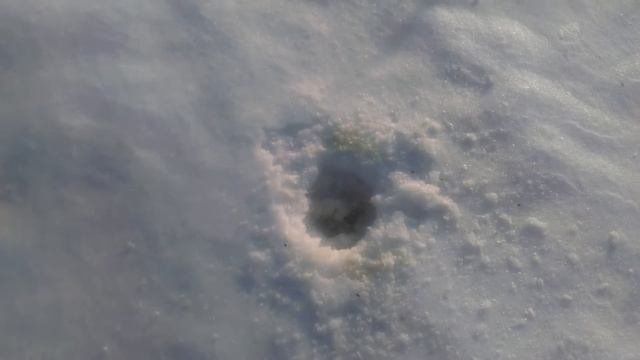 ТОП педарды . Р2000 Мега взрыв . |Беларусь- где покупать петарды . смотреть онлайн