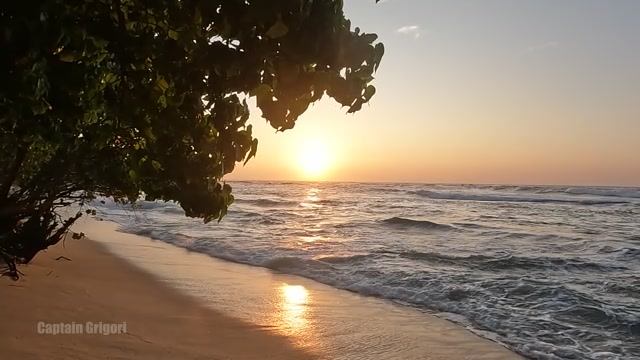 Индийский океан, в погоне за китами смотреть онлайн