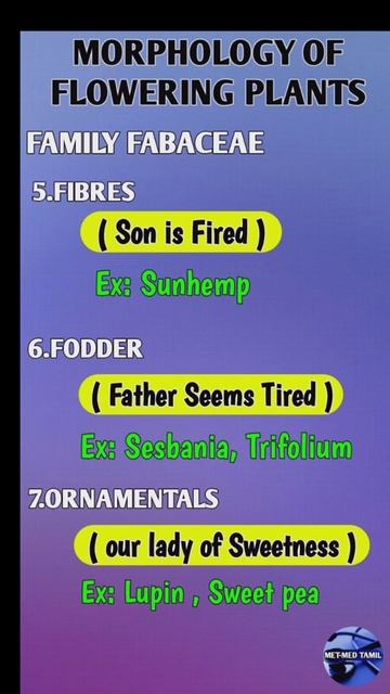 tricks for family fabaceae/part-3/morphology of flowering plants / English and Tamil