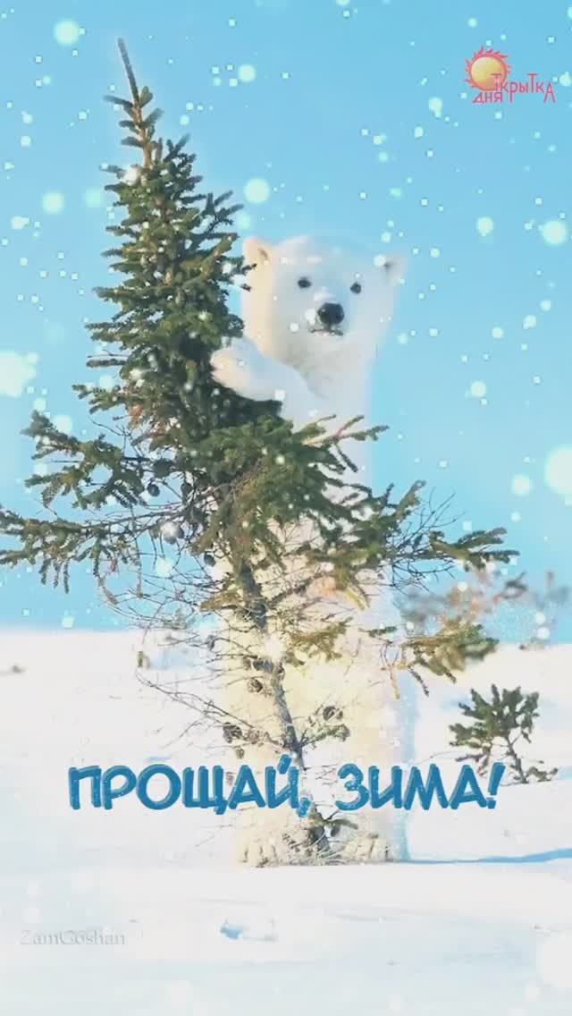 С последним днём зимы. Открытка. До свидания, зима! смотреть онлайн