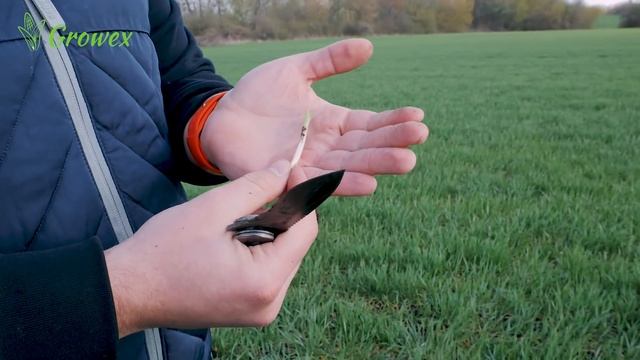 Коли ще можна вносити синтетичні ауксини? смотреть онлайн