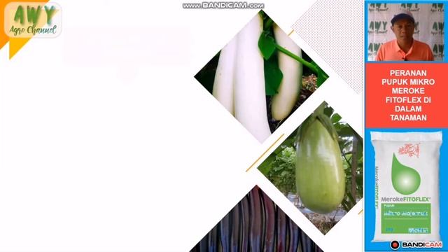 Pupuk Mikro Terlengkap dan Terbaik untuk Tanaman смотреть онлайн