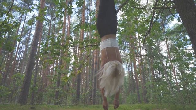 witch hunt смотреть онлайн