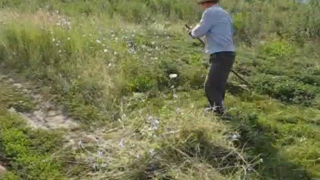 Сенокос смотреть онлайн