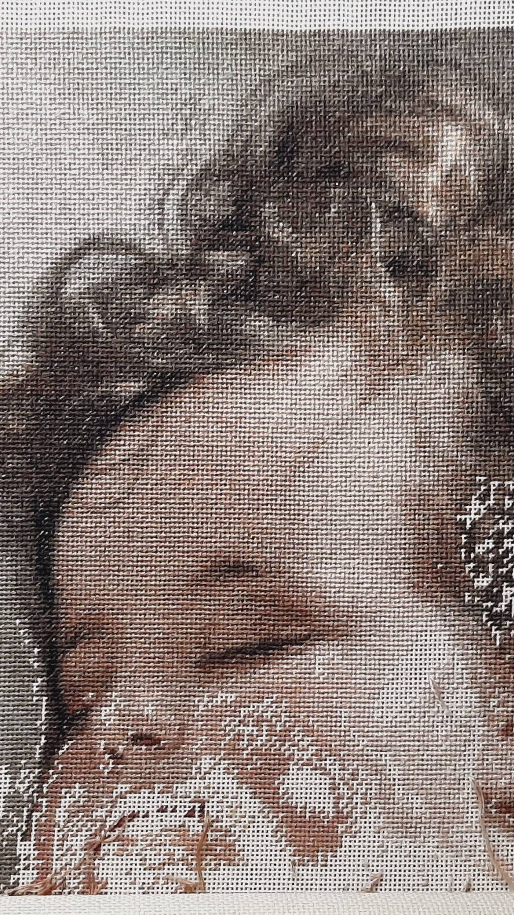 "Принцесса Мари-Франциска" - ЭКВАТОР вышивки 💗👼💗 смотреть онлайн