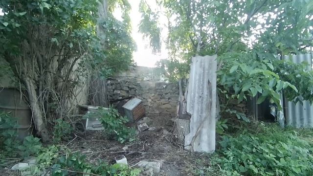 Уборка двора в деревенском доме. Почистил рядом с ульем.