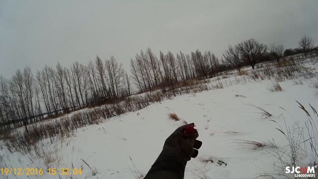 ястреб тетеревятник летит на максимальное расстояние смотреть онлайн