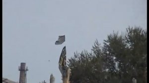 Приехали Крым. Новоозерное. 2