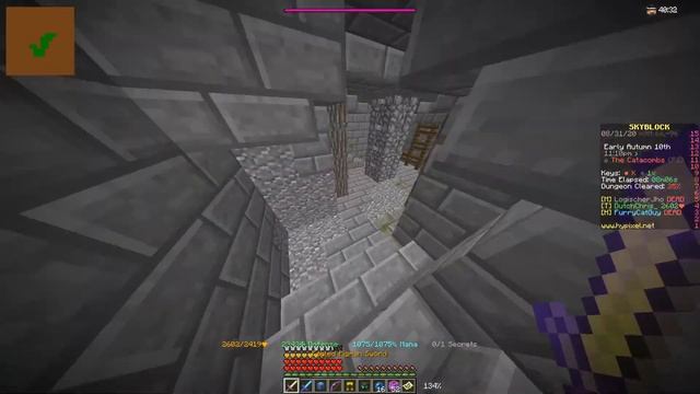 1x1 Dungeon Room ALL SECRETS - Hypixel Skyblock смотреть онлайн
