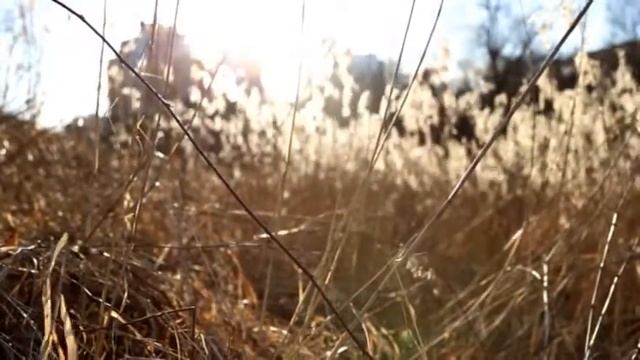 Первое весеннее интро смотреть онлайн