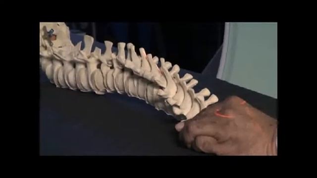 Washington Hospital's innovative OR1 смотреть онлайн