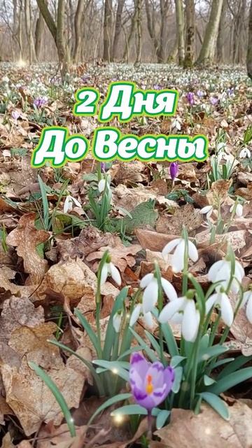 Доброе утро Всем☕💖 смотреть онлайн