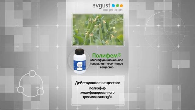 Видеокаталог. Полифем смотреть онлайн