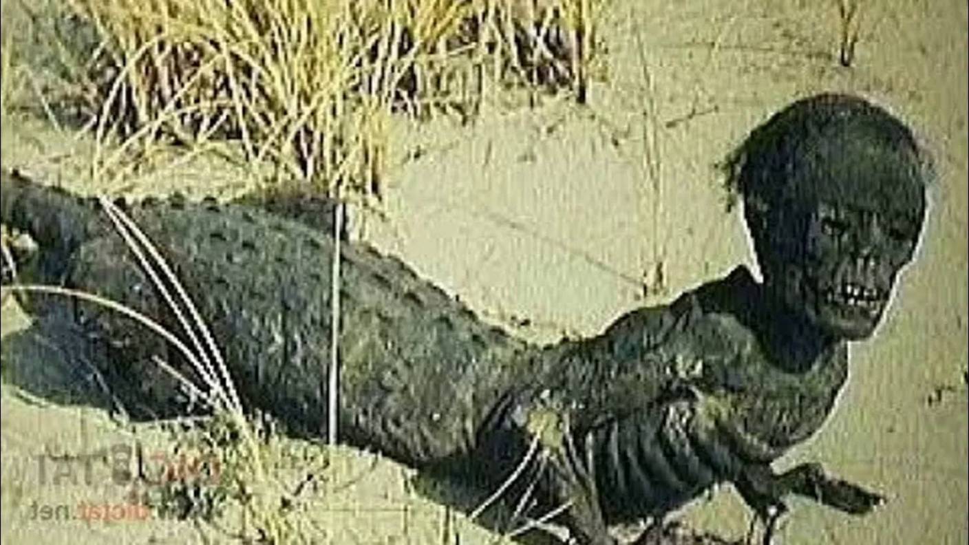 Загадочные существа, заснятые на видео! смотреть онлайн