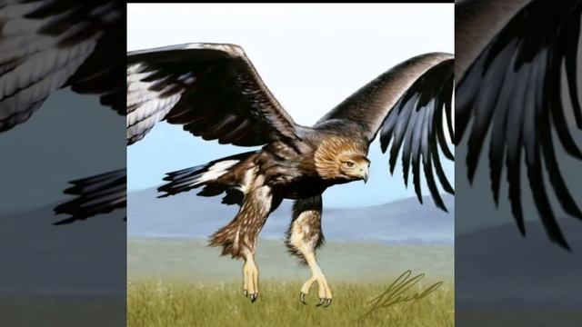 Leo Rojas-Полёт кондора. смотреть онлайн