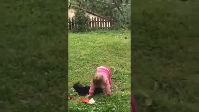 პატარა სვანი გოგონა და გმირი-კატა.Маленькая сванка и кошка-няня. Little Svanian girl & cat. смотреть онлайн