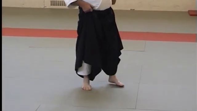 Айкикай Великобритании. Практика с гостем (инструктором) Юкимицу Кобаяси (2007) - ч 2