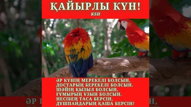 "Атқан таңға ақ тілек" смотреть онлайн