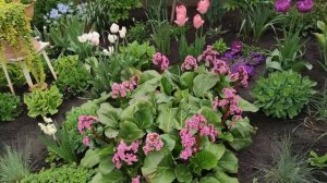 МОЯ МАЛЕНЬКАЯ ВЕСНА