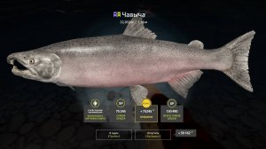 ФАРМ НА МАТЧИ НА ЯМЕ В РУССКОЙ РЫБАЛКЕ 4 РР4