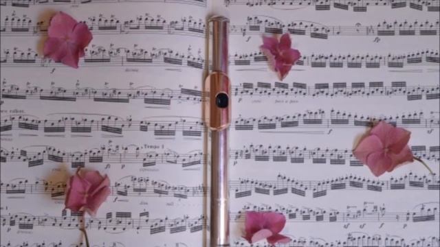 06 flute Pachelbel Canon смотреть онлайн