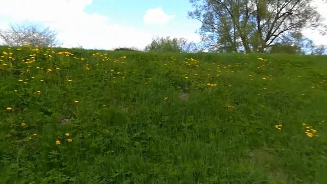 Майская природа) смотреть онлайн