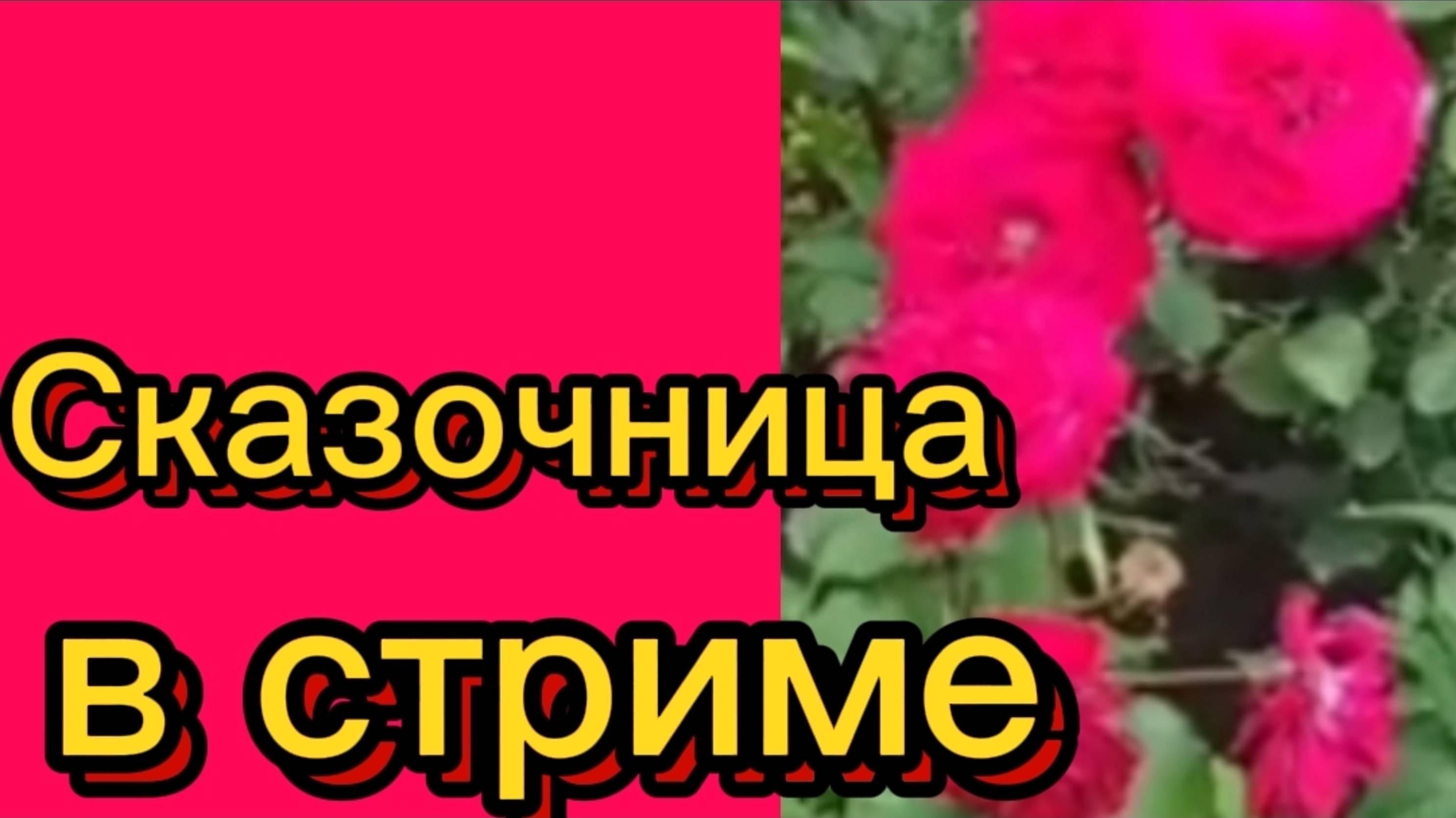 ДЕРЕВЕНСКИЙ ДНЕВНИК. "Сказочница в стриме" смотреть онлайн