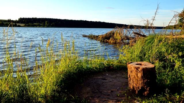 Край мой застенчивый, край негромкий. смотреть онлайн
