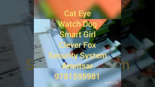 Led Laser Cat Eye Watch Dog Clever Fox Smart Girl Home Security System Amritsar 9781595981 смотреть онлайн