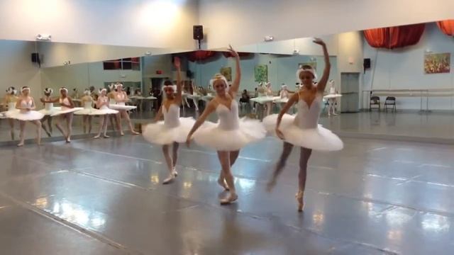 Naples Ballet Presents Swan Lake