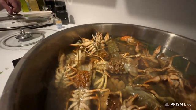 #1 Злой, Шадоукек, Скиллзор, Братики и Азим готовят раков | Полный стрим | 20230328 смотреть онлайн