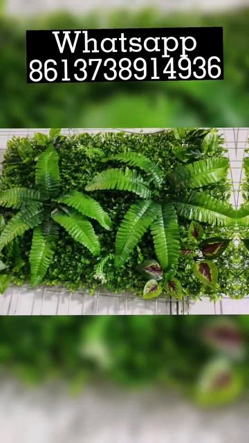 Factory of green wall panels WhatsApp8613738914936 смотреть онлайн