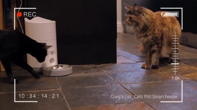Catit PIXI Smart Feeder Review | The Gadget Show смотреть онлайн