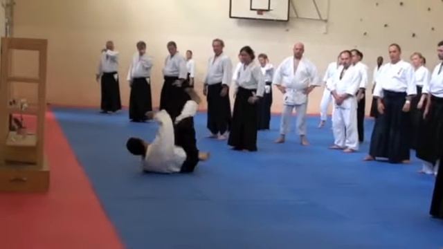 Айкикай Великобритании. Практика с гостем (инструктором) Сигеру Сугаварой (2012) - ч 1