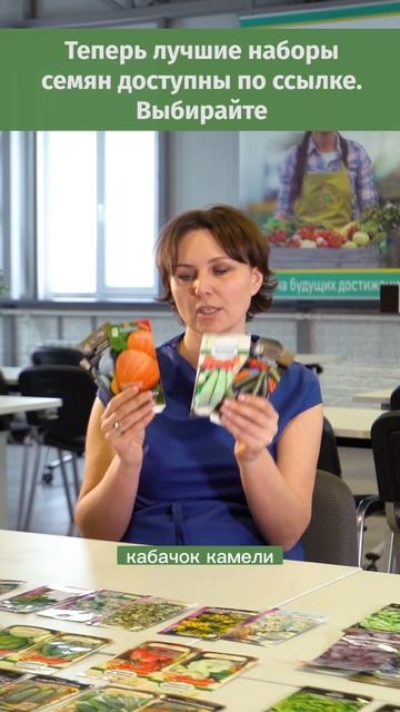 Подборка лучших семян тыквы и кабачков 2025! Проверенные и надежные! смотреть онлайн