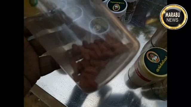 #4 மூலிகை கண்காட்சி смотреть онлайн