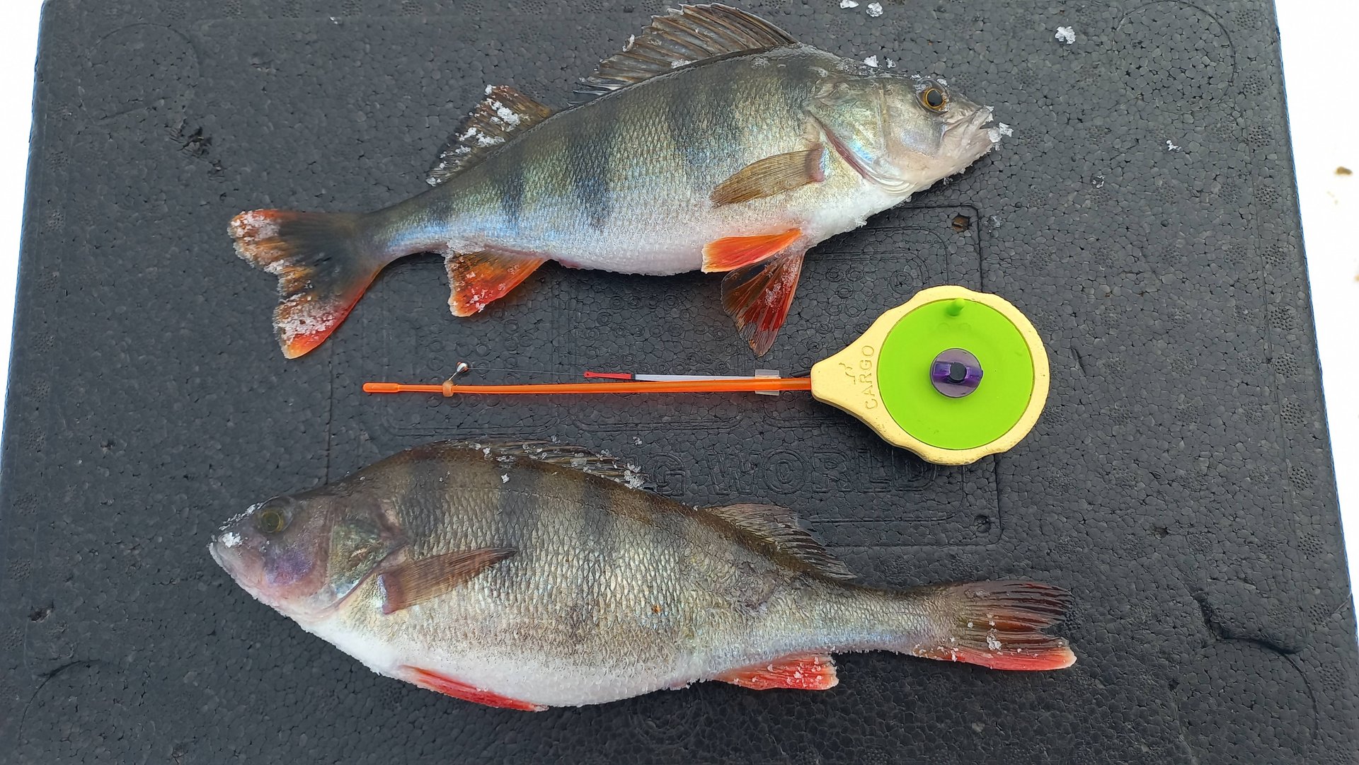 Рыбалка там, где обычно нет льда. Белоярское водохранилище.