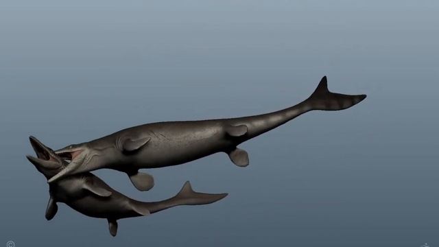 3D Mosasaurus Turntable, Sculpted With ZBrush смотреть онлайн