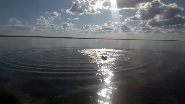 Кривск. Талабские острова. Brp Speedster 150