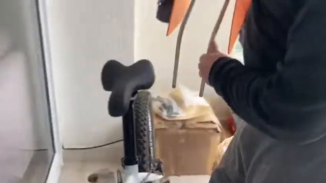 Cadeirinha Infantil P/ Bicicleta Thule Ridealong 100108 смотреть онлайн