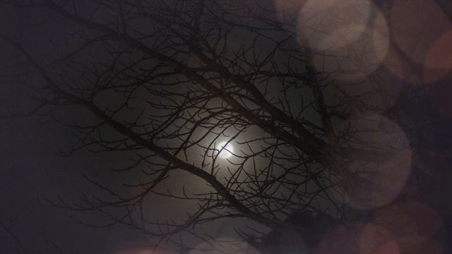 3D Binaural Beats Libido Booster Improve Sexual Performance