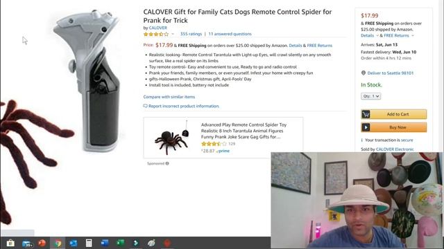 Remote Control Tarantula Spider смотреть онлайн