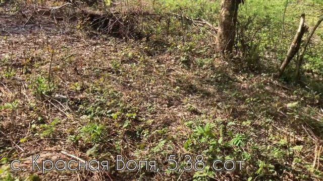 Участок к продаже: г.Сочи, с.Красная Воля, 5,38 сот, СНТ смотреть онлайн