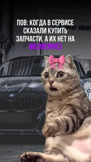 Ты знаешь, кому отправить смотреть онлайн