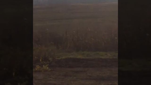 Обзор огорода.Все о моих грядках. смотреть онлайн