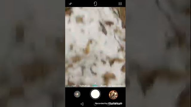 Эпик на спалил человек куми-дом смотреть онлайн