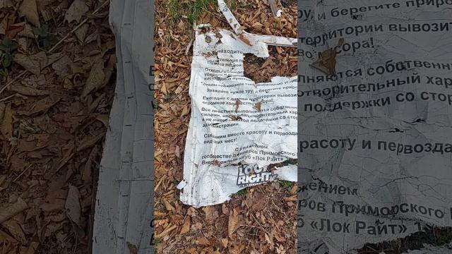 Хроники Большой Сихотэ-Алиньской тропы. Черный куст-Соломенный перевал-река Ольга. смотреть онлайн