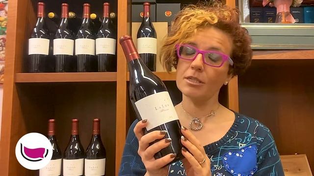 Vino da abbinare alle lasagne: prova La Lus Albarossa Banfi смотреть онлайн