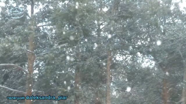 НОВИНКА ЭТОЙ НЕДЕЛИ! ПРЕМЬЕРА ФЕВРАЛЯ 2024! ТАНЯ КИРИМ смотреть онлайн