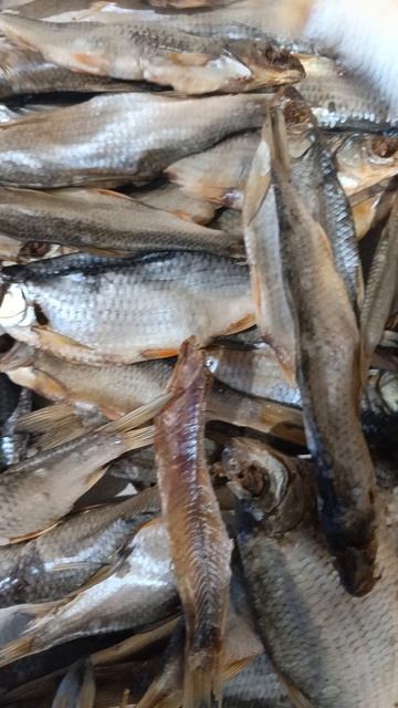 Четверг рыбный день 👍 смотреть онлайн